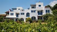 Aloe Paros Suites And Studios ดริยอส ภายนอก รูปภาพ