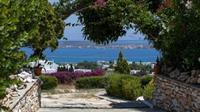 Aloe Paros Suites And Studios ดริยอส ภายนอก รูปภาพ